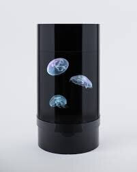 Aquarium for Jellyfish