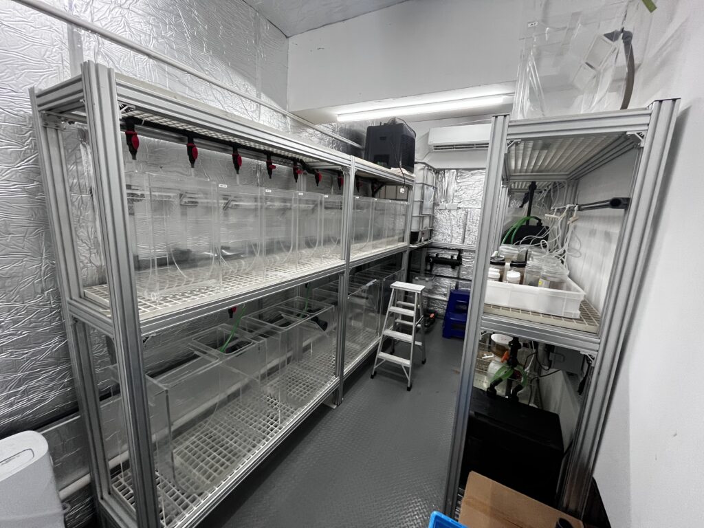 Rows of jellyfish aquarium racks in the new office